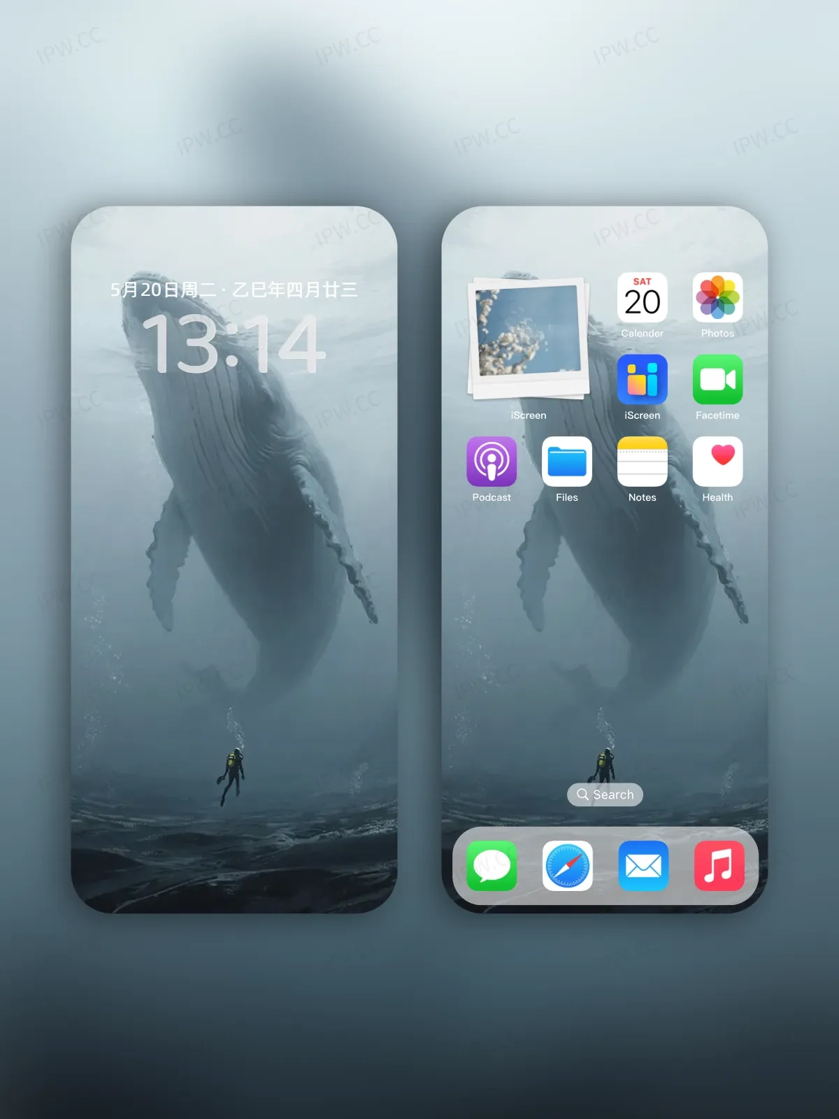 鲸鱼手机高清静态壁纸#20250730142850 e7817a928ff69f9