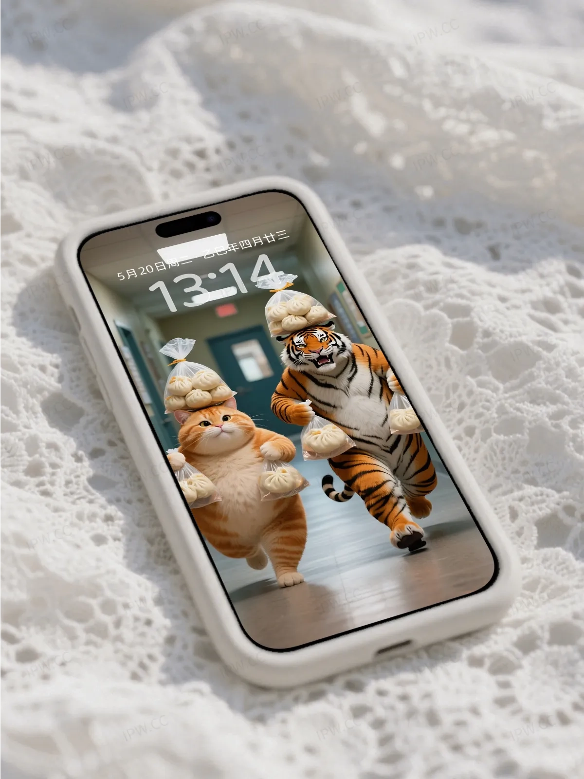 吃货老虎与猫手机高清静态壁纸#20250730142616 e7bc8393bf85bae