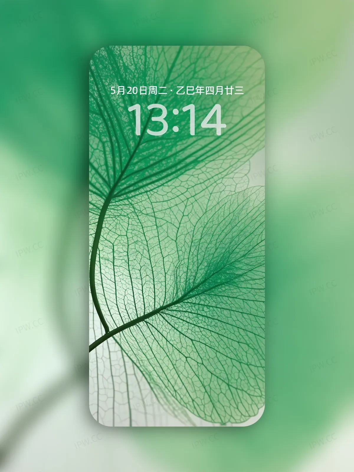 树叶手机高清静态壁纸#20250801230436 e9c4ef5a7d90c5a