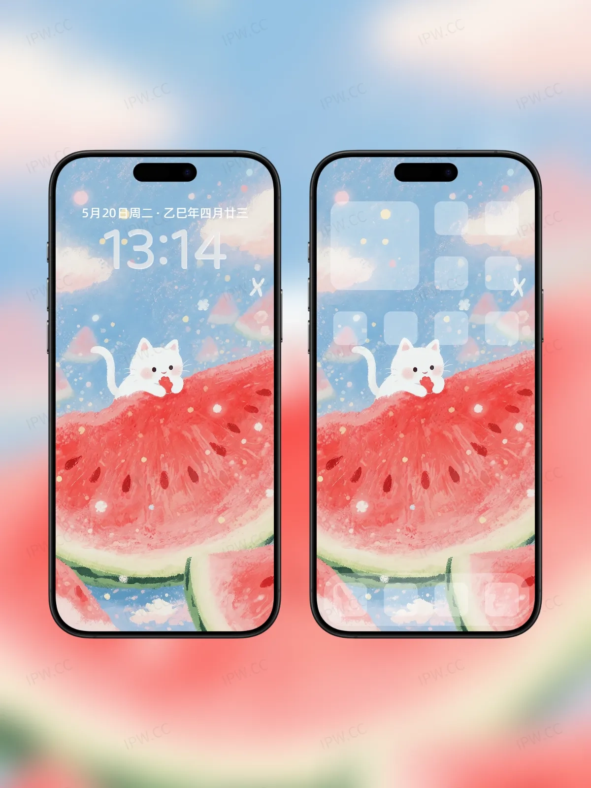 猫咪吃西瓜手机高清静态壁纸#20250801230828 f0ad9fc2f1ad503