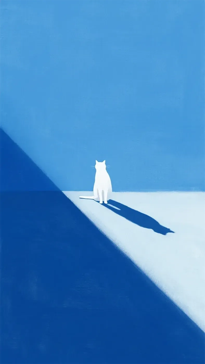 猫与阴影手机高清静态壁纸#20250801232046