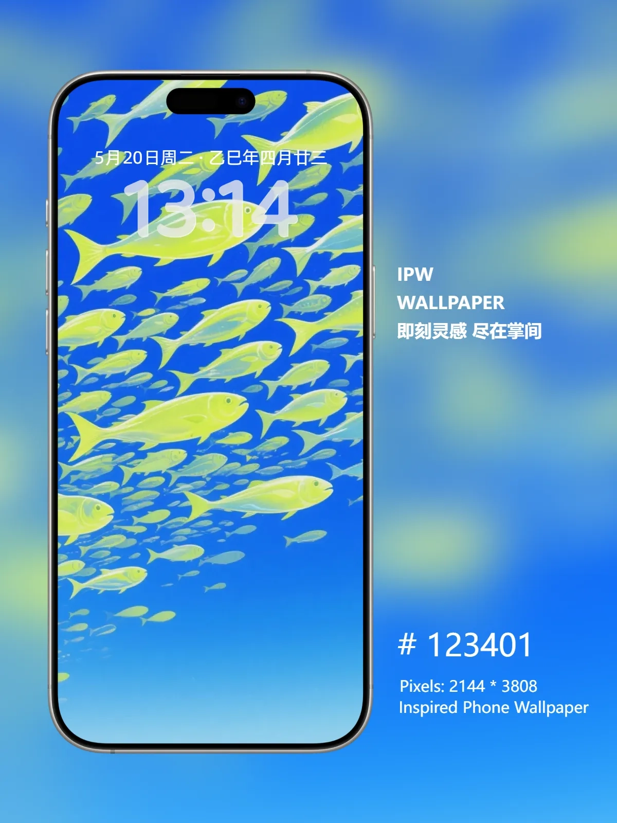 与鱼群一起去迎接更远的海手机高清静态壁纸#20250810123401 f47e5fa0ed52bc3