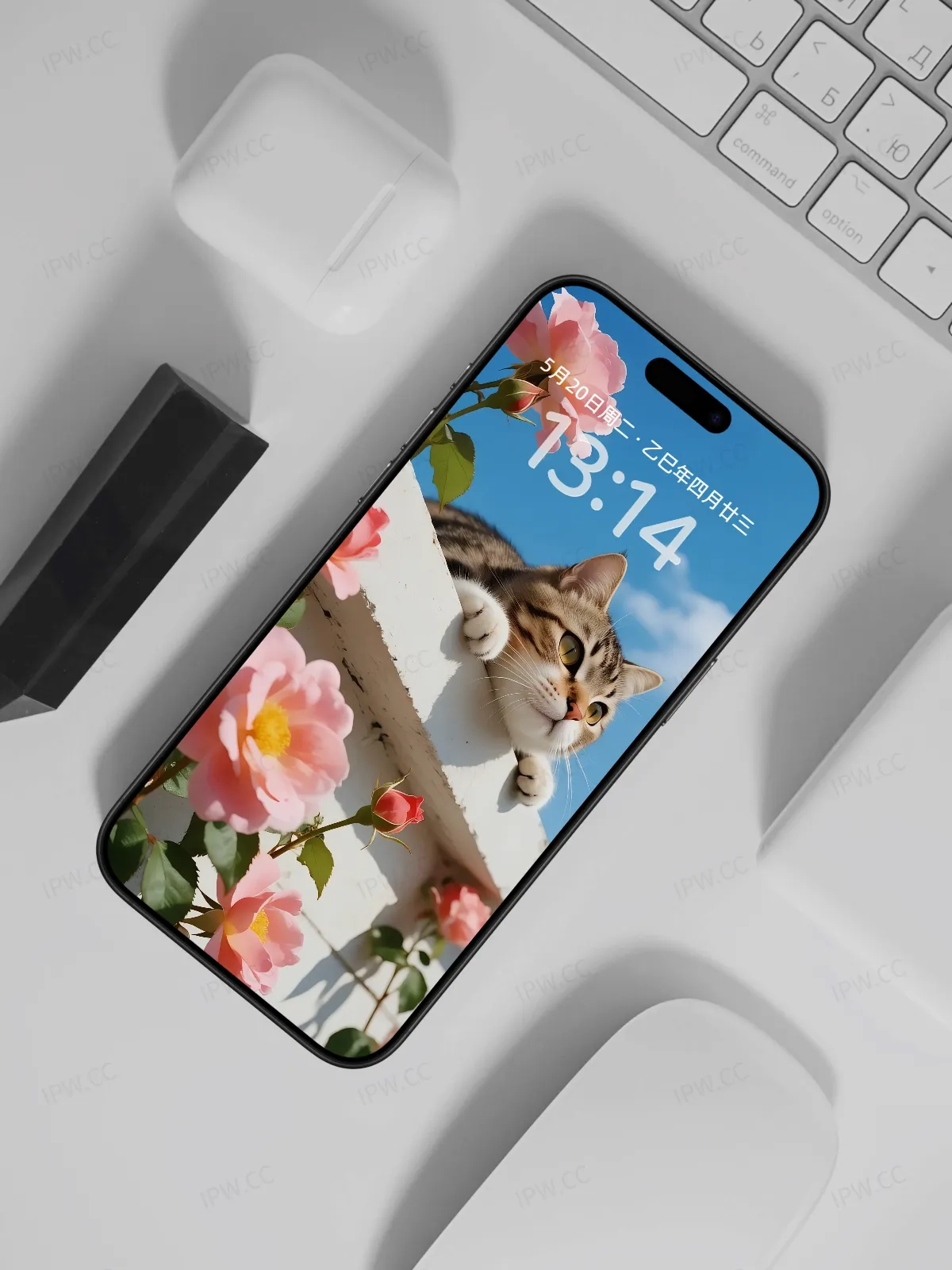 墙上的猫咪手机高清静态壁纸#20250801231745 f7bbb6b67b5f387