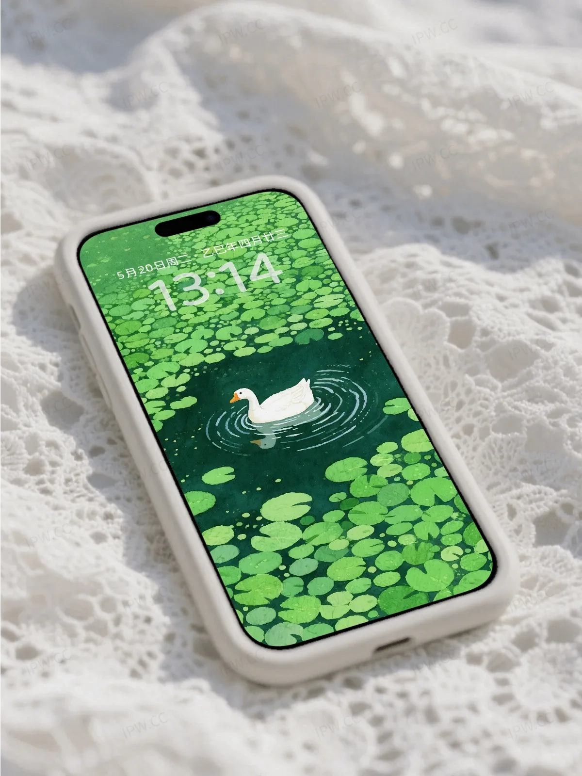绿水白鸭手机高清静态壁纸#20250801231642 fa84b36c3cd647b