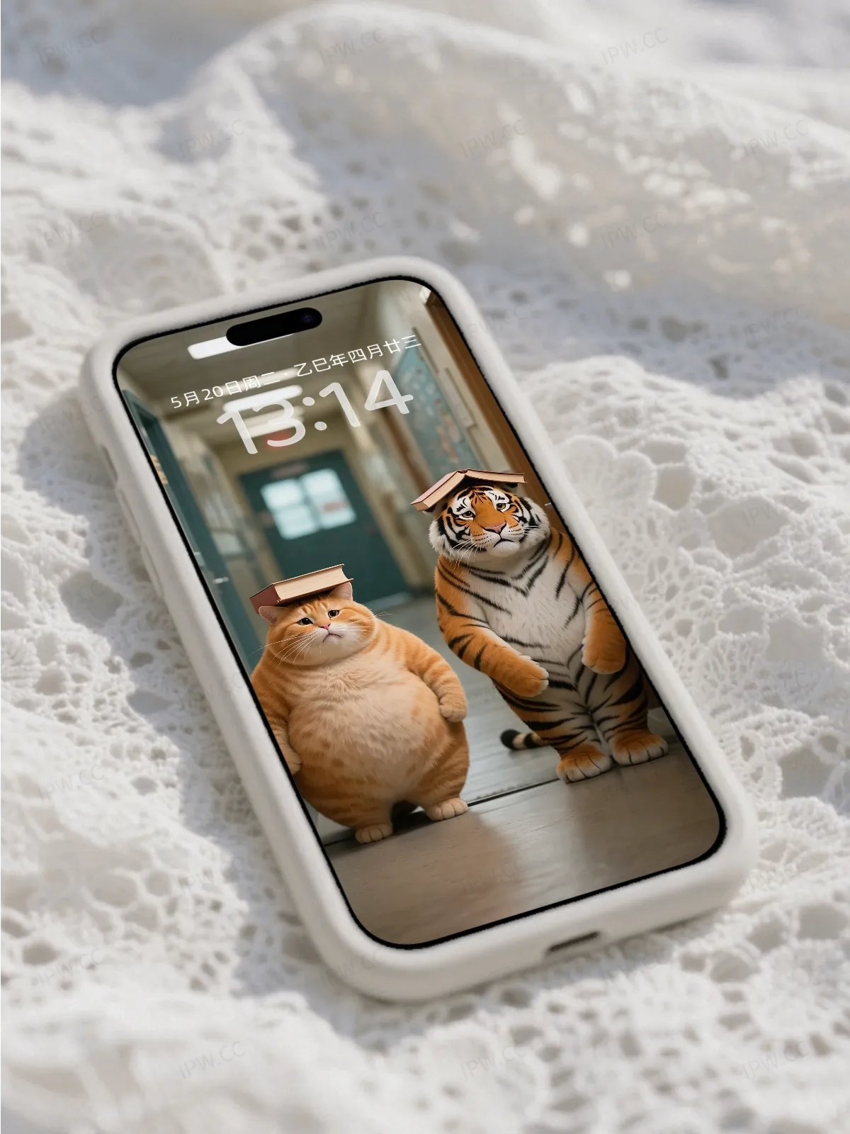 罚站的老虎与猫手机高清静态壁纸#20250801230804 fbd5fed84988283